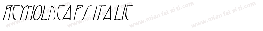 ReynoldCaps Italic字体转换
